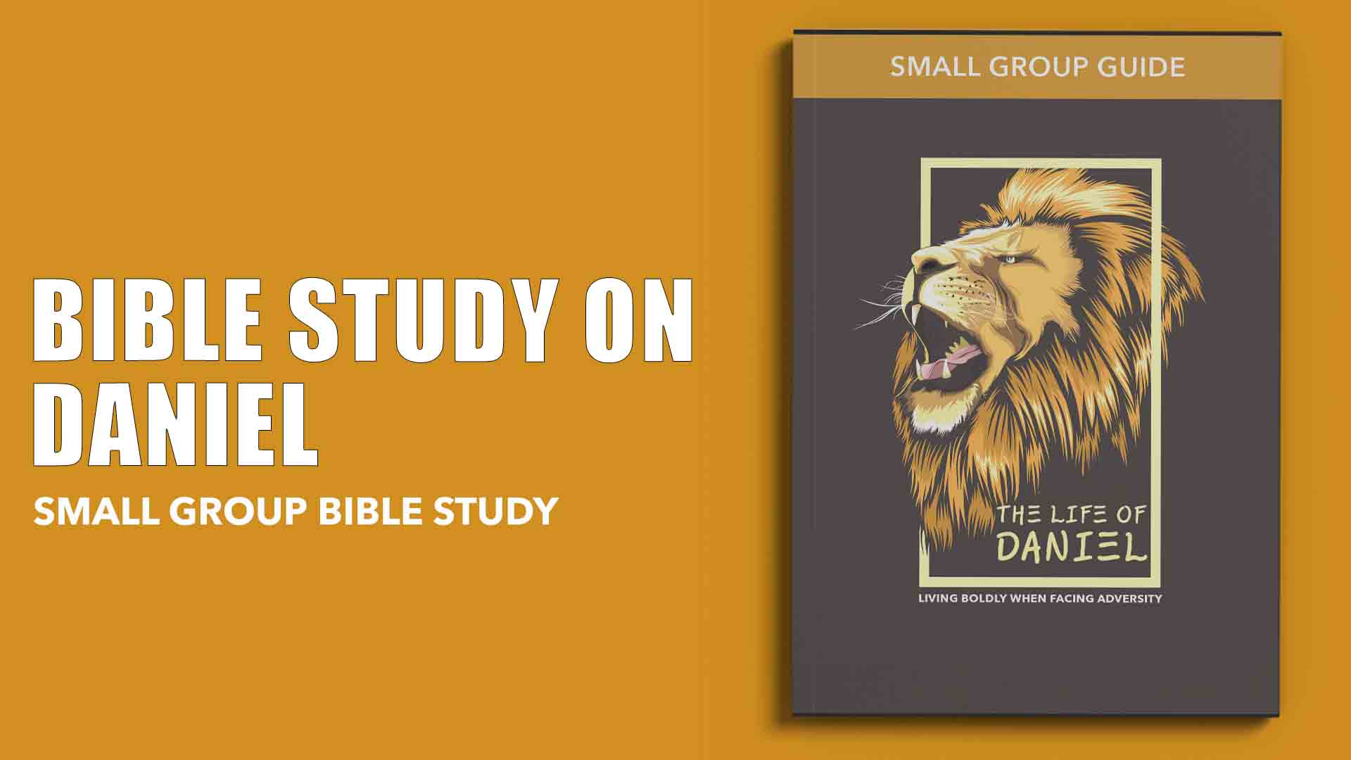 daniel bible